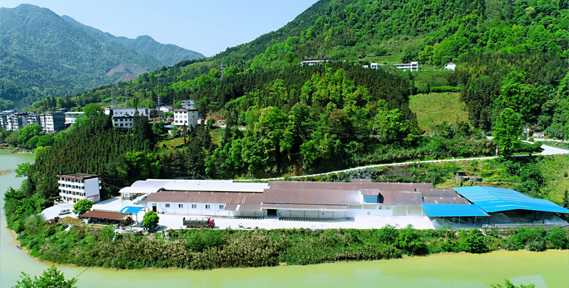 Guangxi Longsheng Huamei Talc Development Co., Ltd. 
