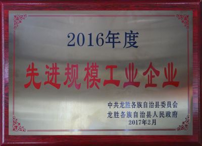 先进规模工业企业